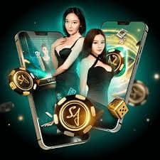 bet336